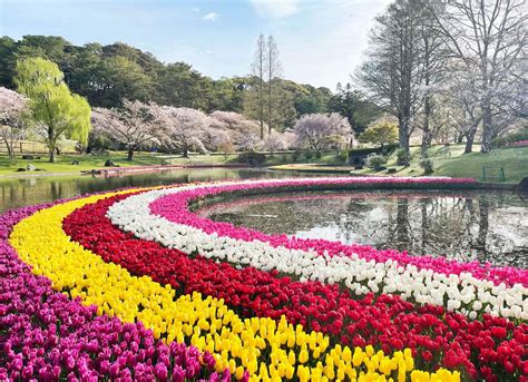 濱松花卉公園：繁花盛開的樂園