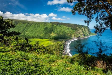 火山探險：大島的自然奇觀