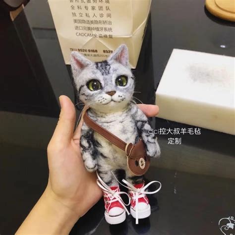 火遍全球的毛毡猫，究竟有什么魅力？