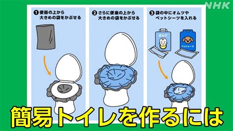 災害時に備えて！非常用トイレとペットシーツの選び方と活用法