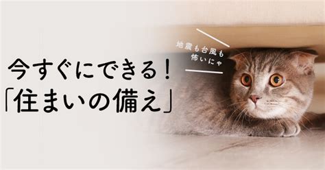 災害時に大切な猫を守るために～備えと対策～