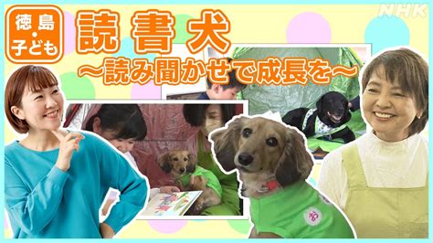 災害時の心強いパートナー：震災犬