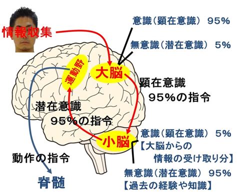 無意識の反応と心理