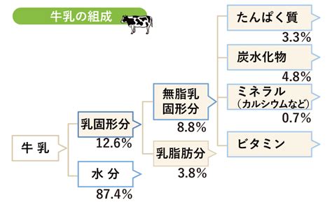 無脂乳とカゼイン: 栄養学上の利点と違い