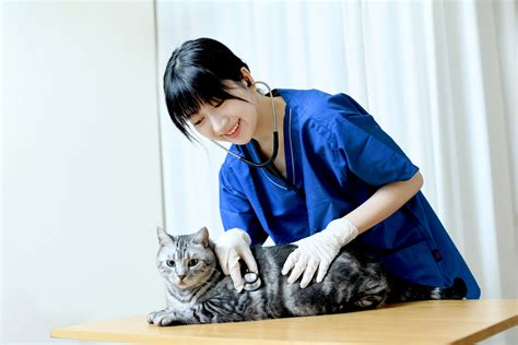 熊本で信頼できる動物病院をお探しですか？よもぎ動物病院がおすすめです！