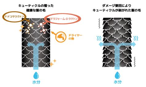 熱によるダメージ：