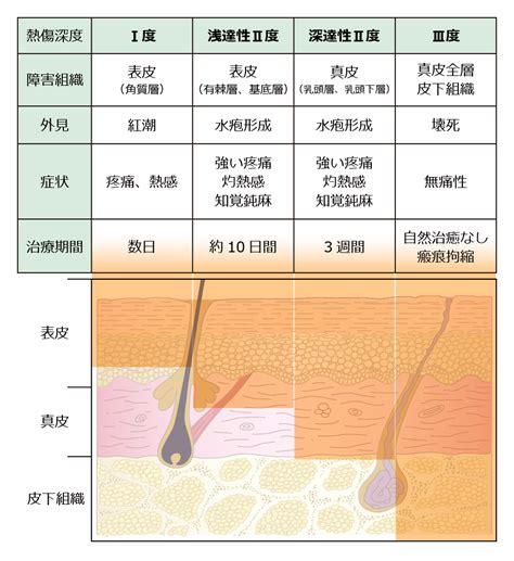 熱損傷：