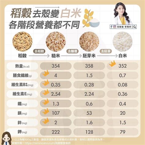 燕麥中文的 2023 年終極指南：種類、營養、益處和食譜