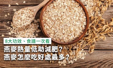 燕麥中文：營養豐富、用途廣泛的健康食品