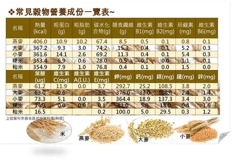 燕麥，一種擁有豐富營養價值的穀物，在中文裡又有著許多不同的稱呼，如：