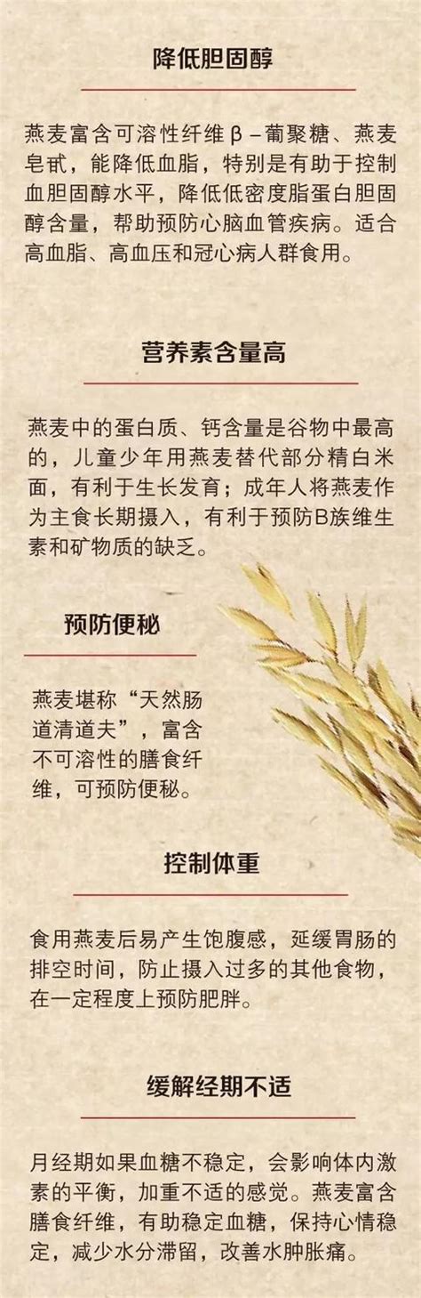 燕麥：穀物界的多面手