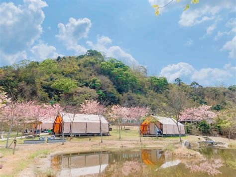 營地推薦：全台十大露營聖地，享受星空下的美好時光