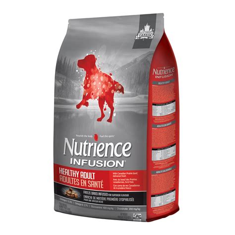 營養師推介：Nutrience 狗糧，呵護您愛犬的健康