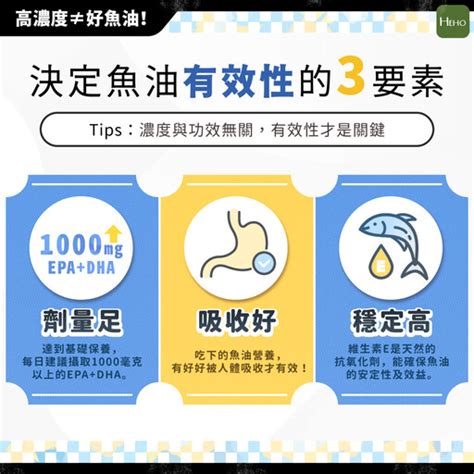 營養知識寶典：全面提升身體健康