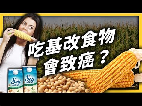 營養革命：邁向健康與活力的終極指南