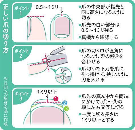 爪切りの上手な選び方と正しい切り方