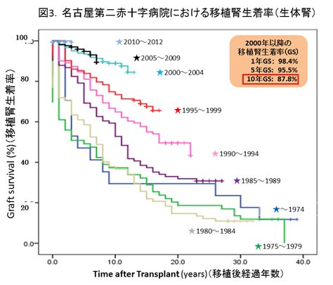 片腎寿命：片腎摘出後の生存率と展望