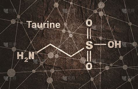 牛磺酸：人體不可或缺的重要氨基酸