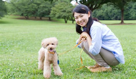 牧場犬飼育ガイド: 賢く頼もしいパートナーとの生活