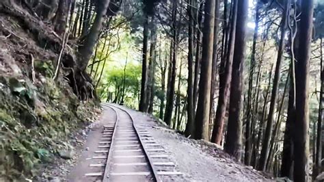 特 富野 古道 交通