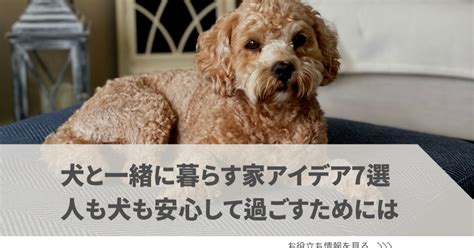 犬と一緒に暮らす喜びと課題