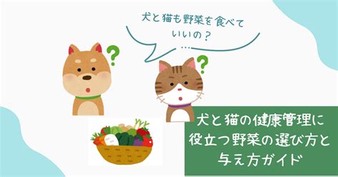 犬と猫の健康管理に役立つ情報: てらざわ犬猫病院のガイド