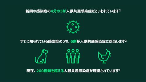 犬における人獣共通感染症：飼い主が知っておくべきこと