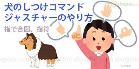 犬の「おすわり」コマンドをマスターする完全ガイド