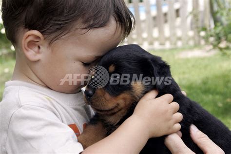 犬のいる家庭で育つ赤ちゃんは、そうでない赤ちゃんに比べてアレルギーを発症するリスクが低くなる可能性があります。