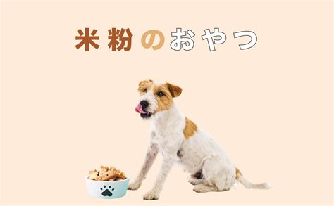 犬のおやつ選びで後悔しないための徹底ガイド