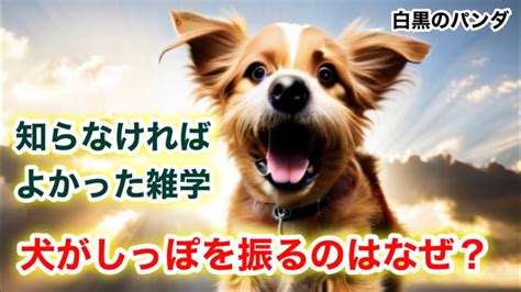 犬のしっぽの驚くべき秘密と活用法