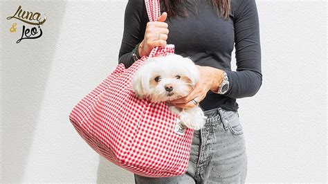 犬のためのキャリーバッグ：愛犬との快適な移動を実現