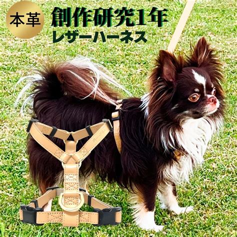 犬のためのハーネスレザー: 選択の決定版ガイド