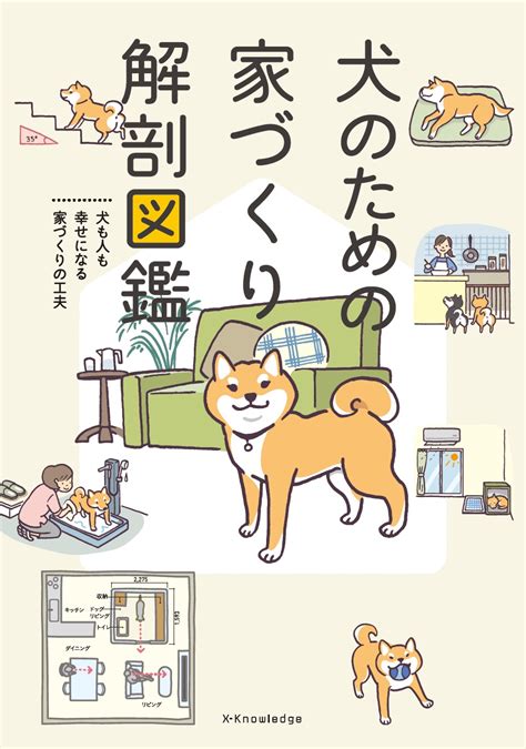 犬のためのブランケット: 快適さと安心を保証するための包括ガイド