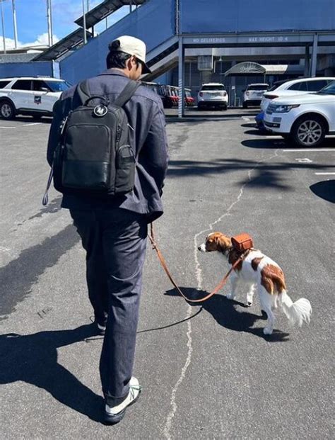 犬のためのリュックサック: あなたの愛犬と一緒に冒険へ