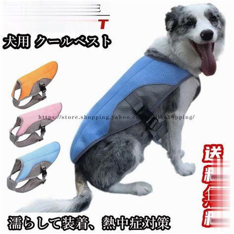 犬のための冷却グッズ 完全ガイド