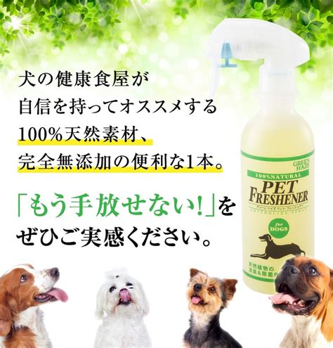 犬のための虫除け対策のすべて