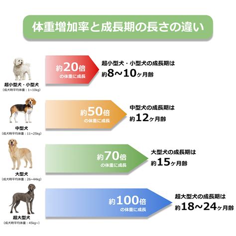 犬のサイズと体重: