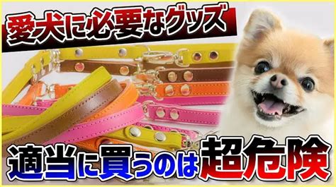 犬のサイズに合ったものを選ぶ: