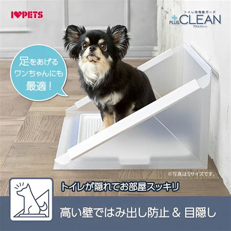 犬のトイレ飛び散り防止対策の徹底ガイド