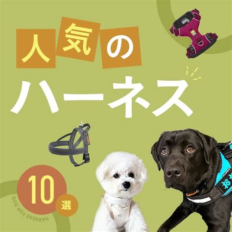 犬のハーネス：選び方とメリット