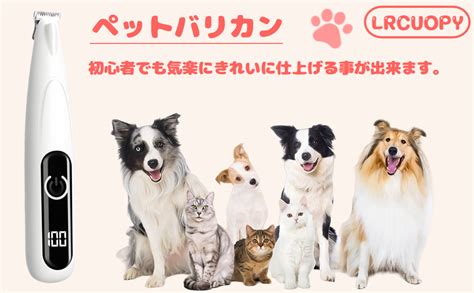 犬のバリカン完全ガイド: 快適でストレスのないお手入れ