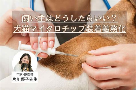 犬のマイクロチップのデメリット：飼い主が知っておくべきこと