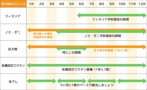 犬のワクチン: 種類と接種スケジュール