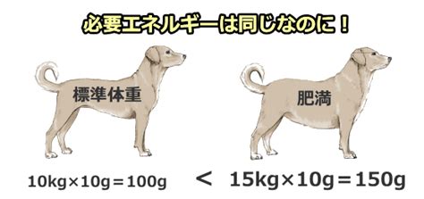 犬の体重と年齢に応じた推奨給餌量