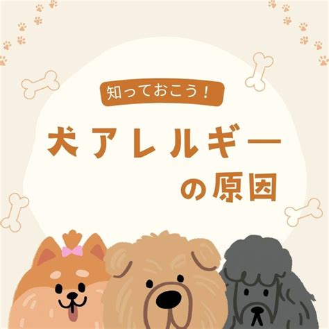 犬の唾液やフケに含まれるアレルゲン