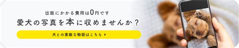 犬の引き取り手順