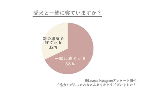 犬の権利と責任