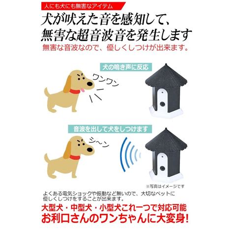 犬の無駄吠え対策～日常生活に支障が出ない環境をつくる～