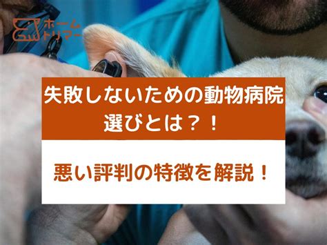 犬の病院選びに失敗しない！口コミ評判で選ぶおすすめ病院